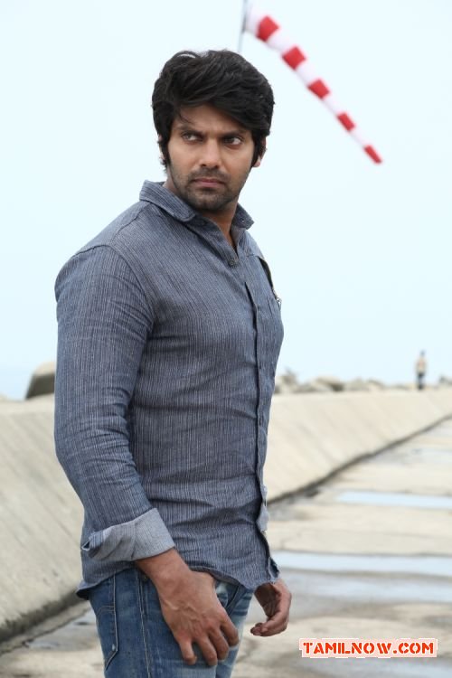 Actor Arya In Meagaamann 795