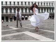 Sanjay Ekta Still 5