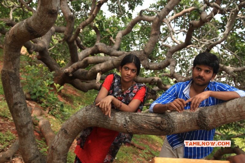 New Stills Film Mundhirikaadu 4596