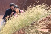 Pics Tamil Movie Mundhirikaadu 3925