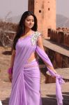 Tamil Movie Murattu Kaalai Stills 3257