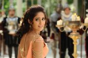 Ileana New Photo Nanban Movie 525