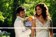 Vijay And Ilena In Nanban 2