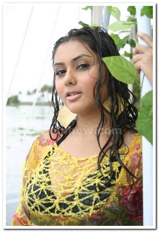 Namita Still 3