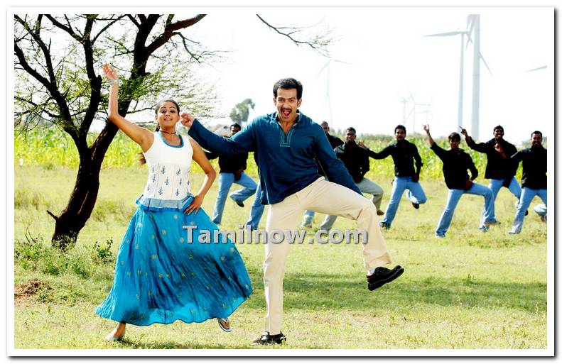 Prithviraj And Priyamani 3