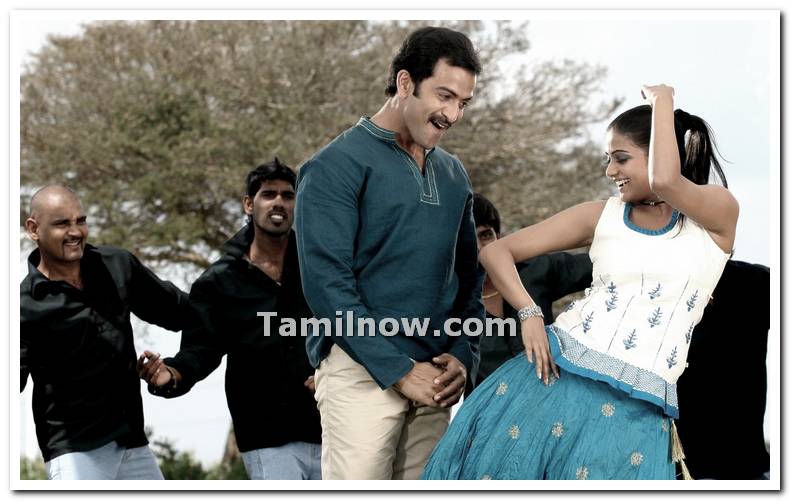 Prithviraj And Priyamani 4