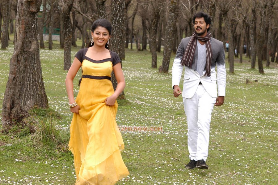 Ninaithathu Yaaro Stills 9109