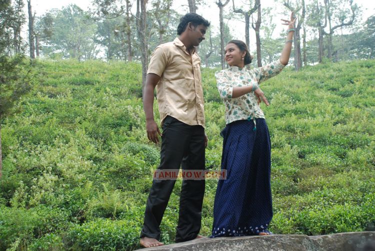 Movie Ninaivugal Azhivathillai 9311