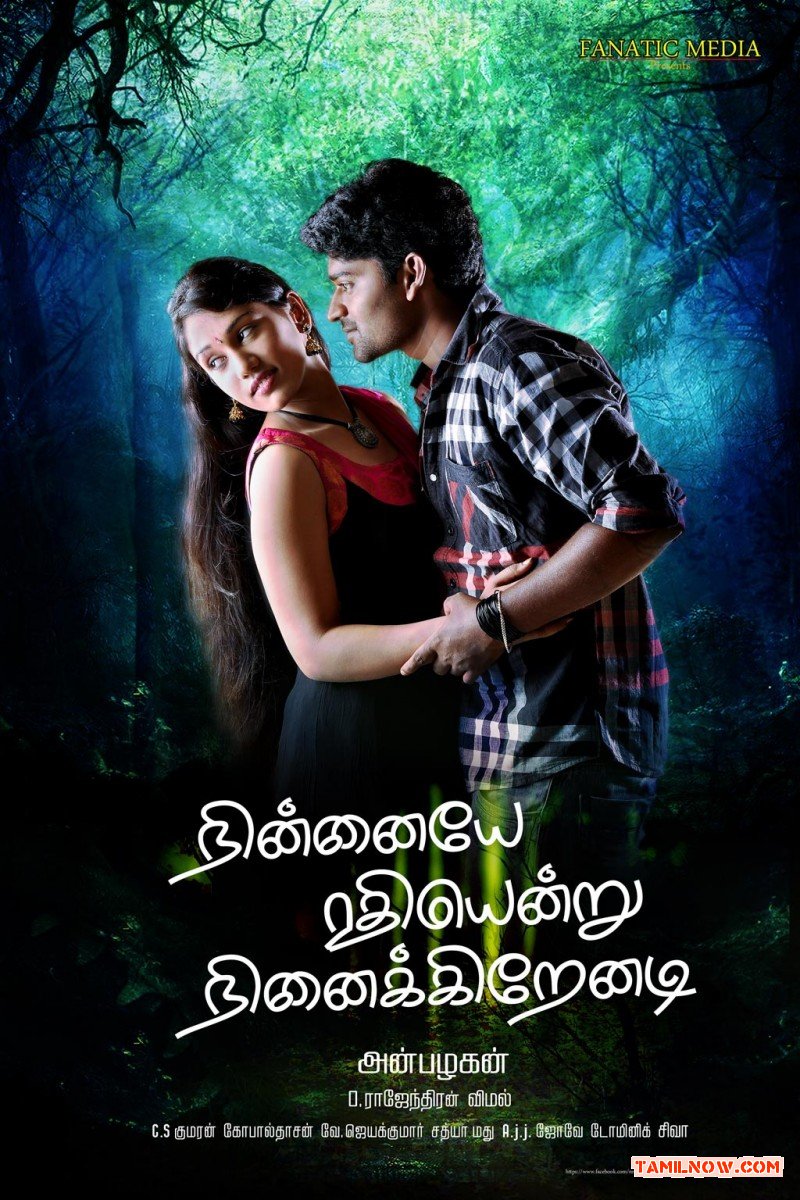 Movie Ninnaiye Radhiyendru Ninaikkindrenadi Photos 3215