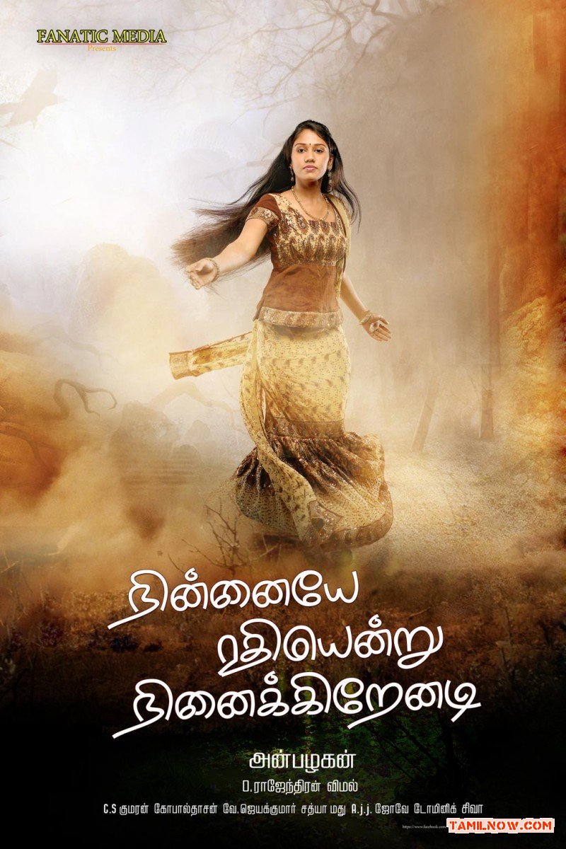 Ninnaiye Radhiyendru Ninaikkindrenadi 8223