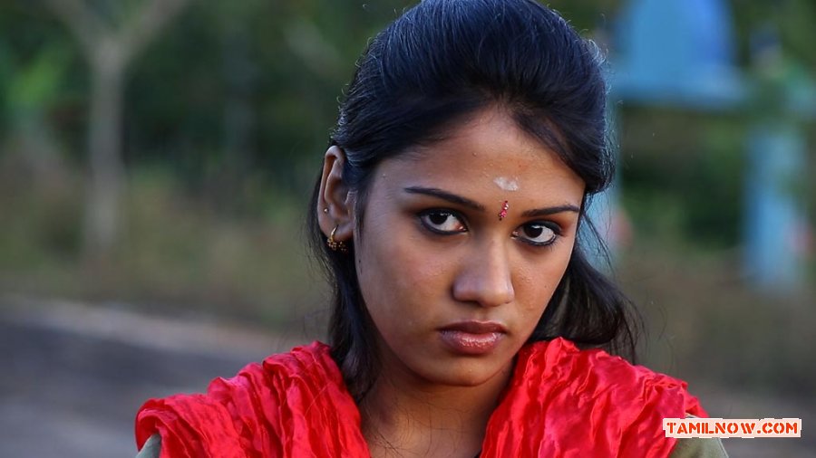 Tamil Movie Ninnaiye Radhiyendru Ninaikkindrenadi Stills 4435