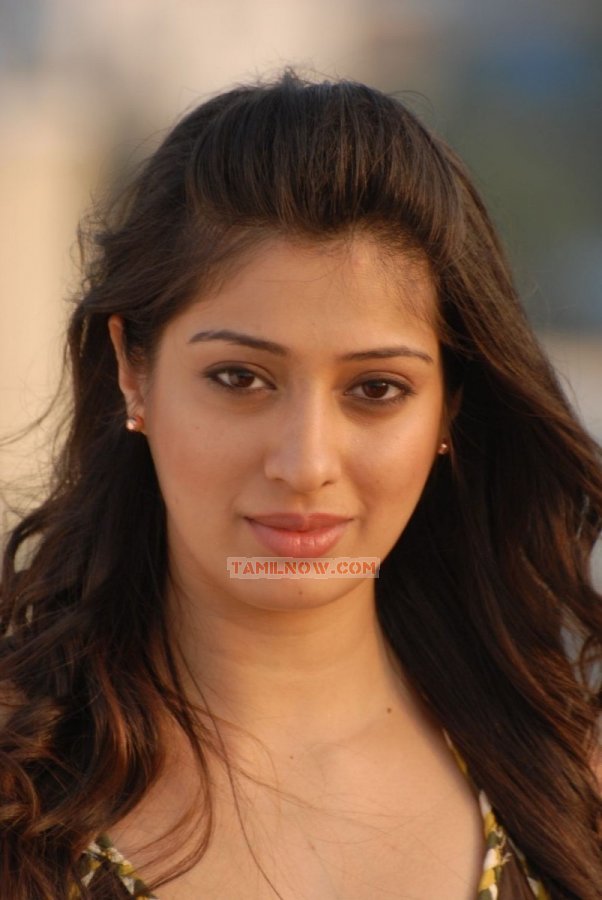 Actress Lakshmi Rai 935