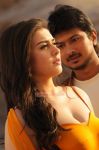 Hansika Motwani Hot Still 856