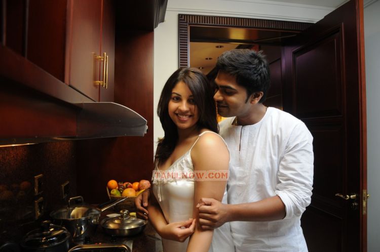 Richa And Silambarasan New Photo 347