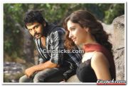 Karthi And Thamanna Stills 1