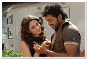 Thamanna And Karthi Picture 03