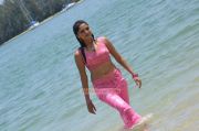 Sunaina Hot Still 144