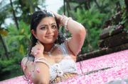 Swathi Hot In Pathirama Pathukkunga 268