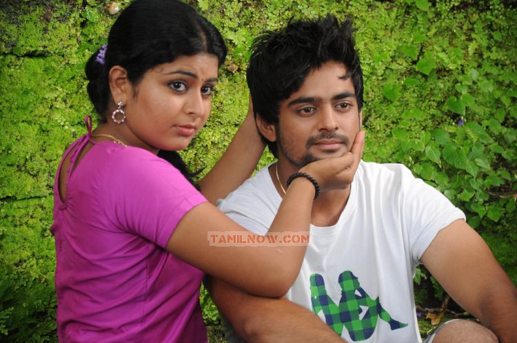 Swathi Sharan In Pathirama Pathukkunga Movie 582