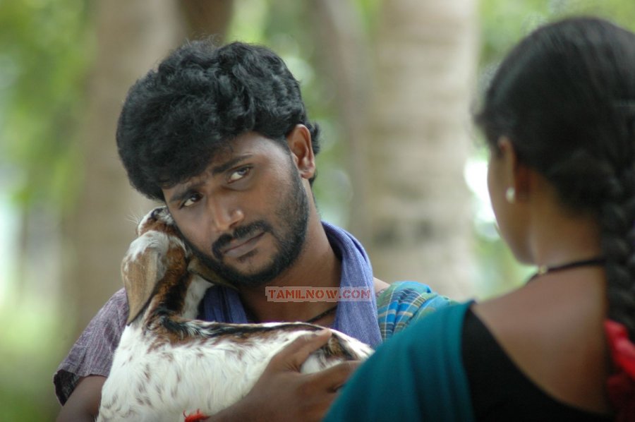 Payapulla Stills 4072