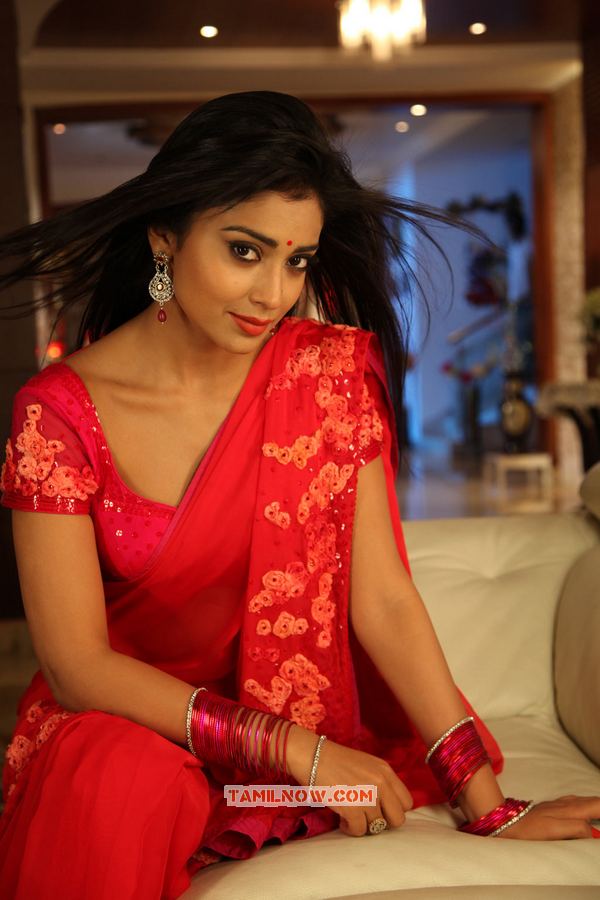 Shriya Saran Still 6