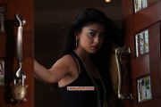 Shriya Saran Still 7