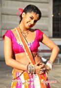 Tapsee Pannu In Political Rowdy Movie Image 6270 183