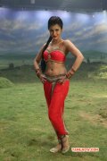 Movie Still Shruthi Haasan In Movie Poojai 701