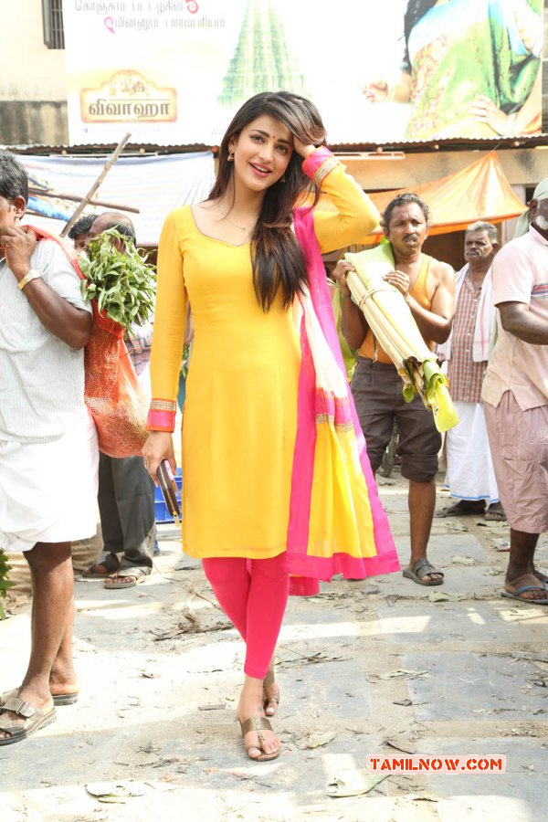 Shruthi Haasan In Movie Poojai Cinema 215