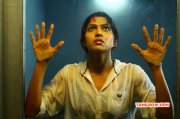 Movie Still Actress Swasika In Praba Movie 364