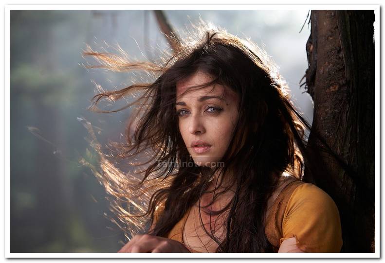 Aishwarya Rai In Raavan 2