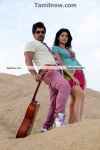 Vikram And Deeksha Seth In Rajapattai 2