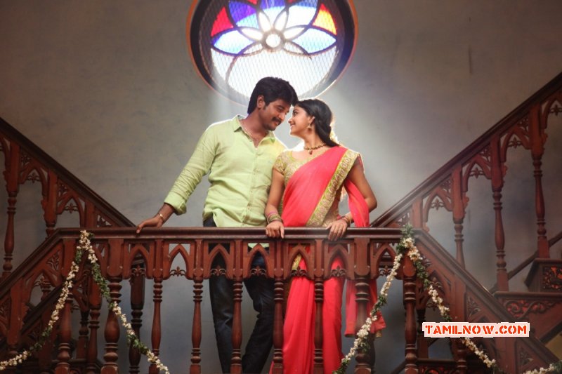 Movie Gallery Siva Karthikeyan Keerthi In Rajini Murugan 507