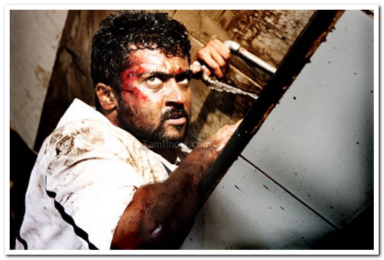 Surya Still 11