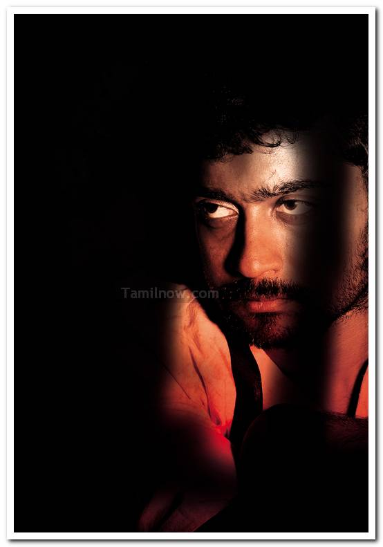 Surya Still 14