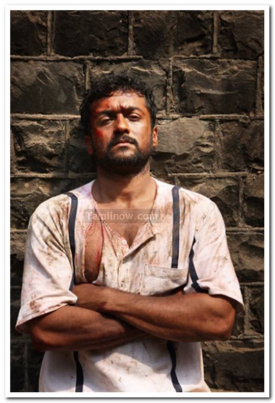 Surya Still 6