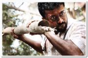 Surya Still 8