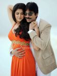 Rowdi Raja Photos 6962