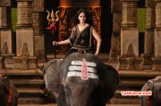 Gallery Anushka In Rudramadevi 446