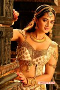 New Image Anushka In Rudramadevi 579