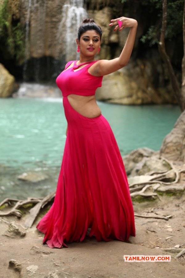 Latest Photo Oviya In Sandamarutham 649