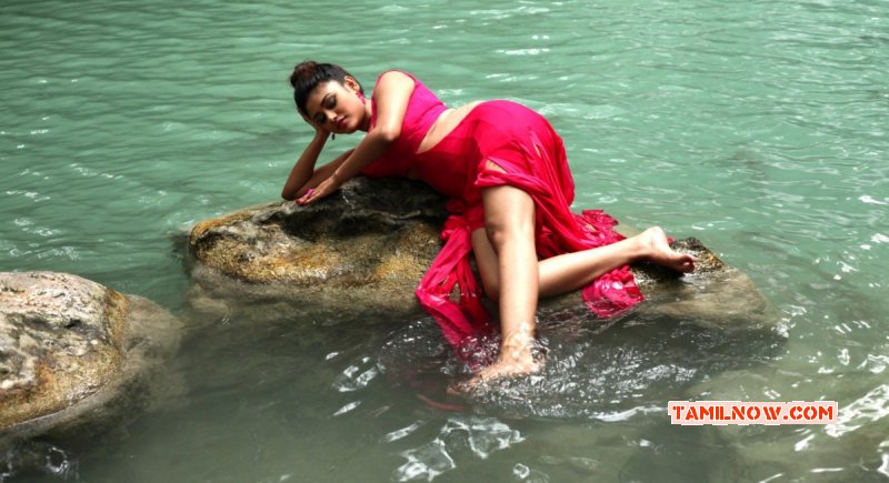 Oviya In Sandamarutham Movie Wallpaper 577