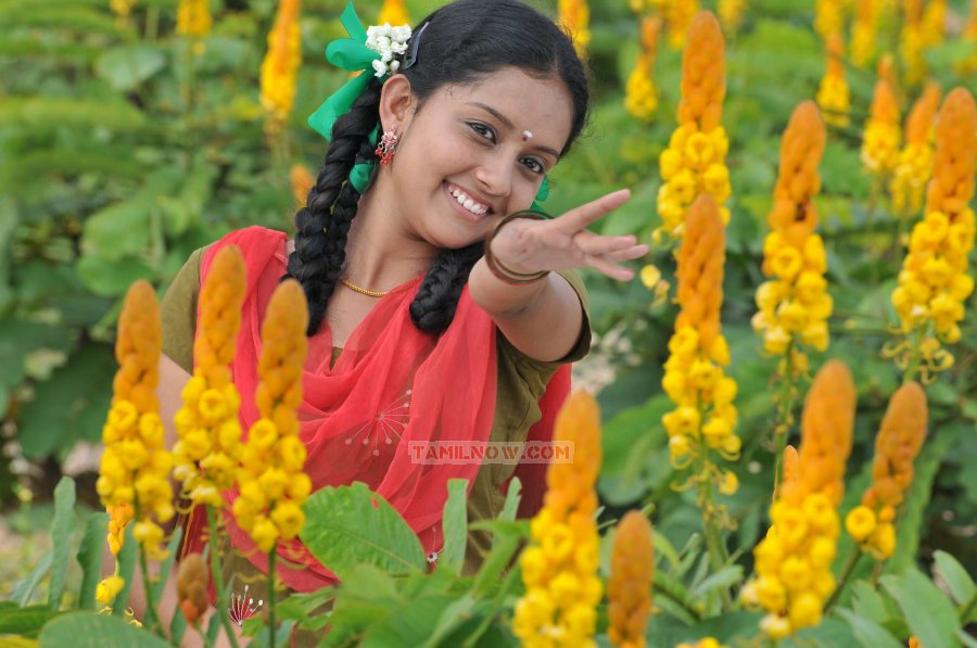 Sattai Stills 5572