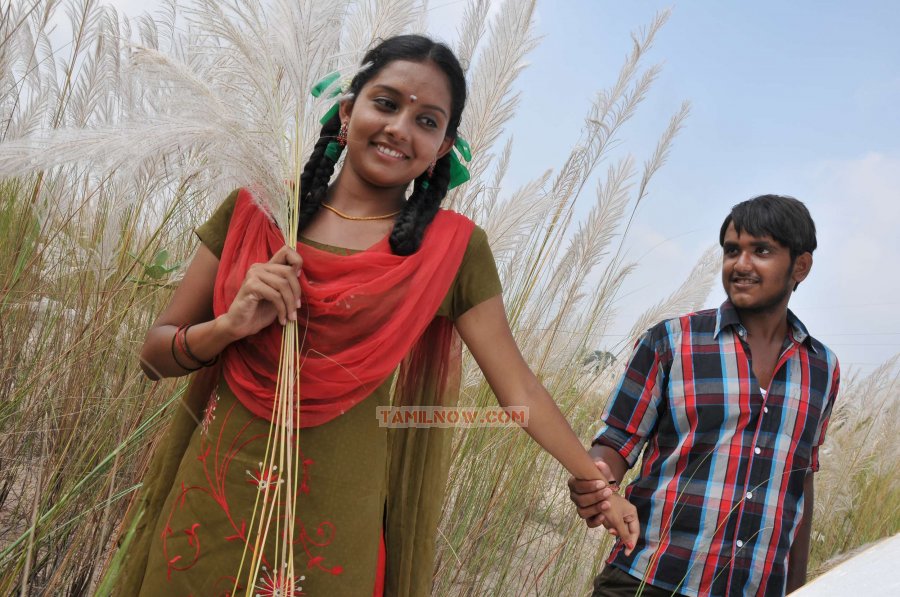 Sattai Stills 7974