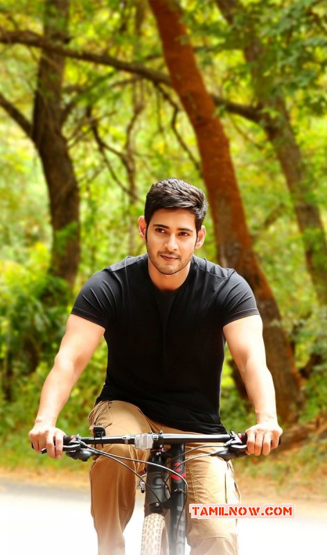 New Still Mahesh Babu In Selvandhan 542