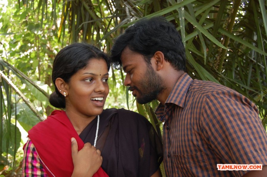 Senbaga Stills 8947