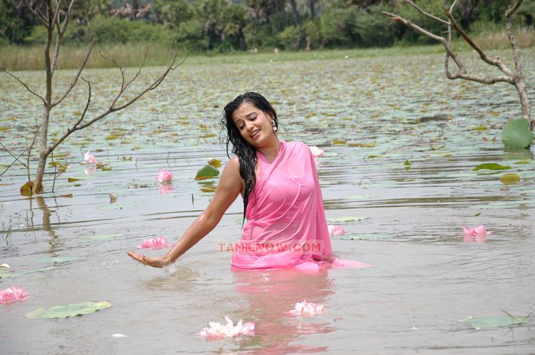 Roopa Kaur Hot Pic In Sengadu 10 794