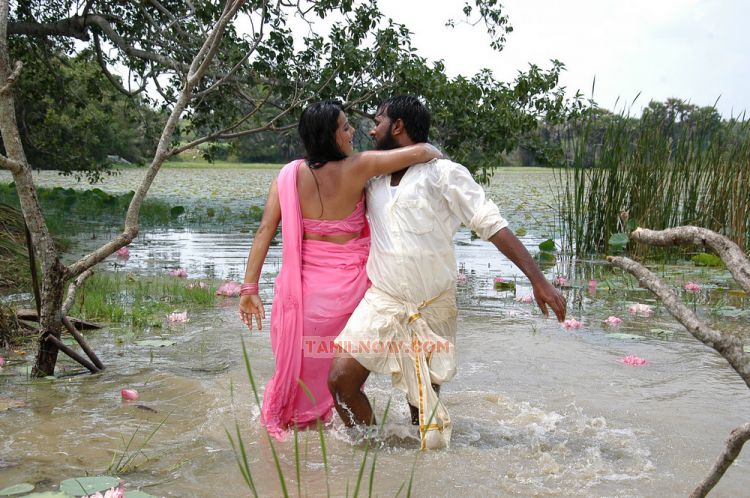 Sengadu Movie Hot Stills 21 697