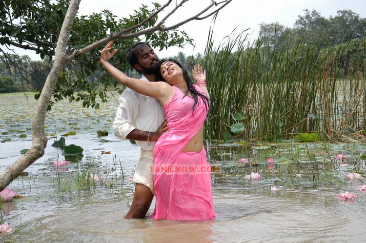 Sengadu Movie Hot Stills 25 277