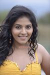 Actress Anjali Settai Movie 303